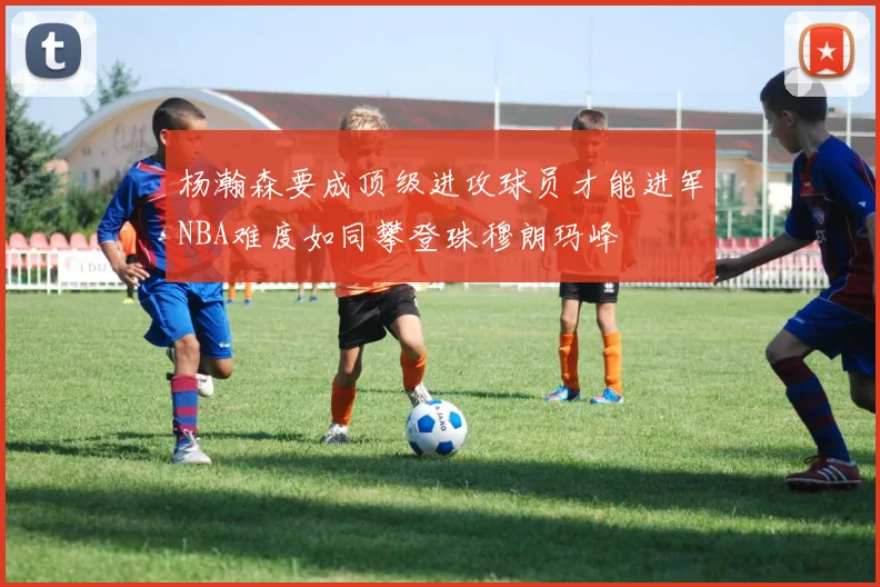 杨瀚森要成顶级进攻球员才能进军NBA难度如同攀登珠穆朗玛峰